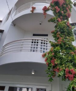 Bán biệt thự mini Lê Đức Thọ, P.16, Gò Vấp.
