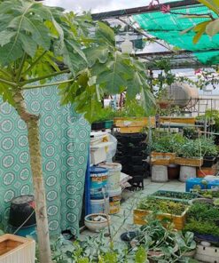 bán nhà gần chợ sơn kỳ, đầy đủ tiện ích siêu thị Aeon Tân Phú, UBND Phường Sơn Kỳ,