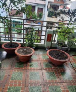 BÁN NHÀ CẦU XÉO HXH TRÁNH, 5 TẦNG, TẶNG KÈM NỘI THẤT ĐẸP NHỈNH 10 TỶ. 1801010 13 Bàn Hẻm xe tải tránh thông qua Tân Kỳ Tân Quý, Hà Thị Đát, Gò Dầu, Bờ Bao Tân Thắng, Bình Long… Thuân lợi di chuyền sang Bình Tân, Tân Bình.