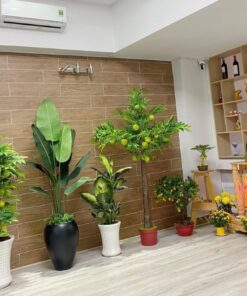 bán nhà hxh nguyễn văn đậu bình thạnh dưới 7 tỷ